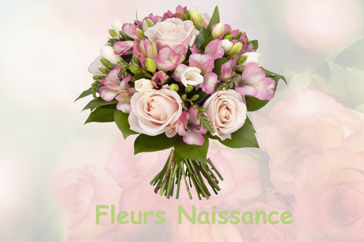 fleurs naissance LE-FLEIX